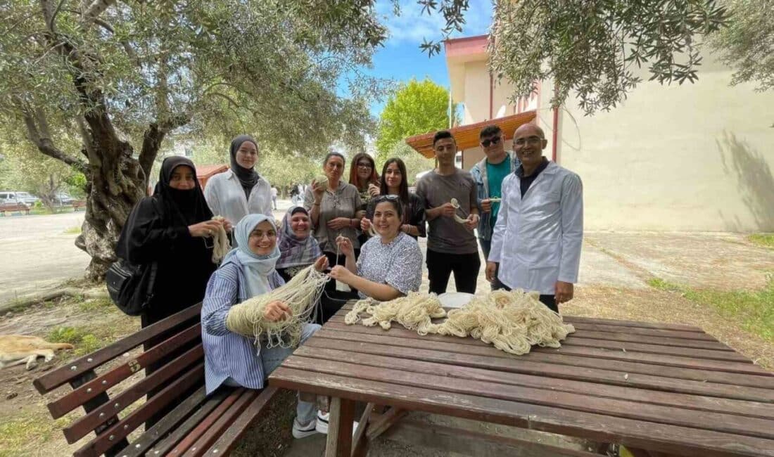 Balıkesir'in Edremit ilçesindeki Altınoluk Meslek Yüksekokulu Tıbbi ve Aromatik Bitkiler