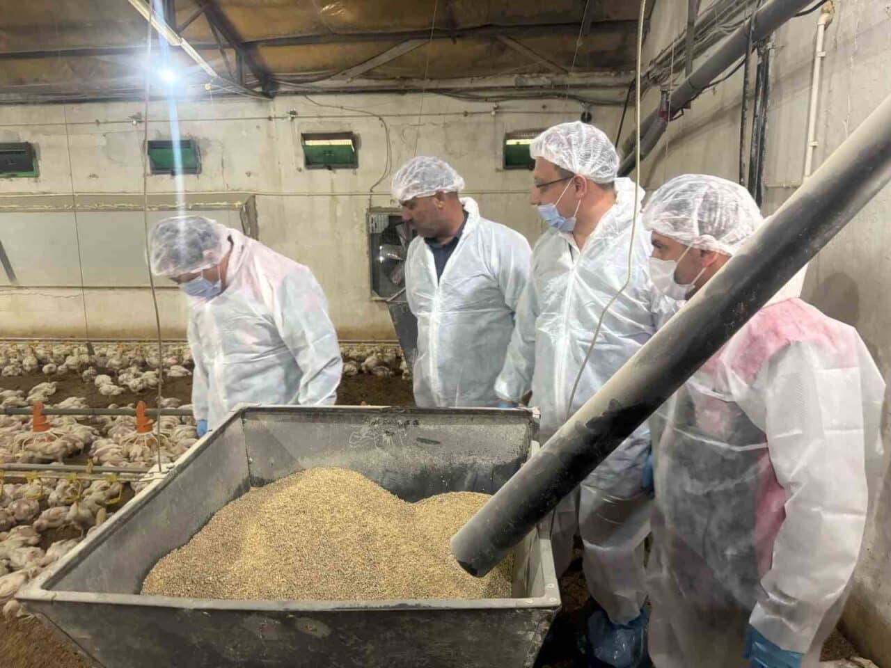 Erzincan'da broiler yetiştiriciliği 40 işletmede sürerken, Tarım ve Orman İl