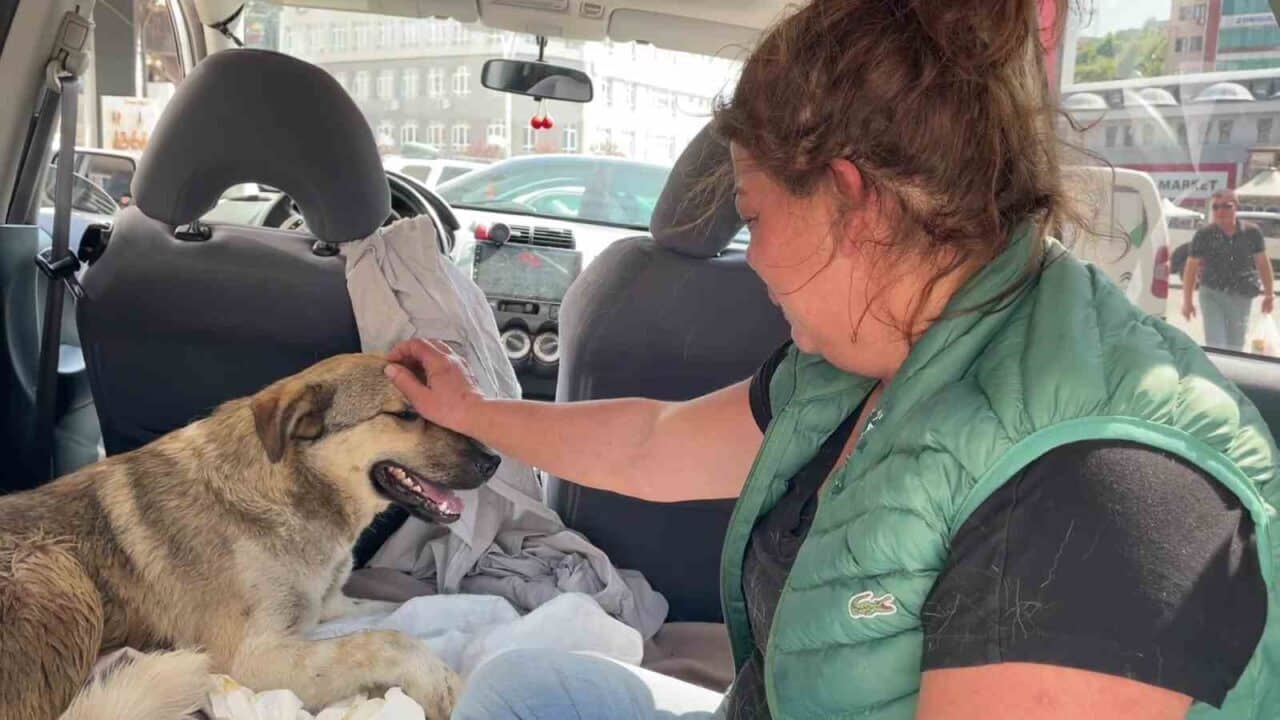 Zonguldak'ta Arzu Boncuk, mamografi sırasında hayatını kaybeden köpeğinden sonra tedavi