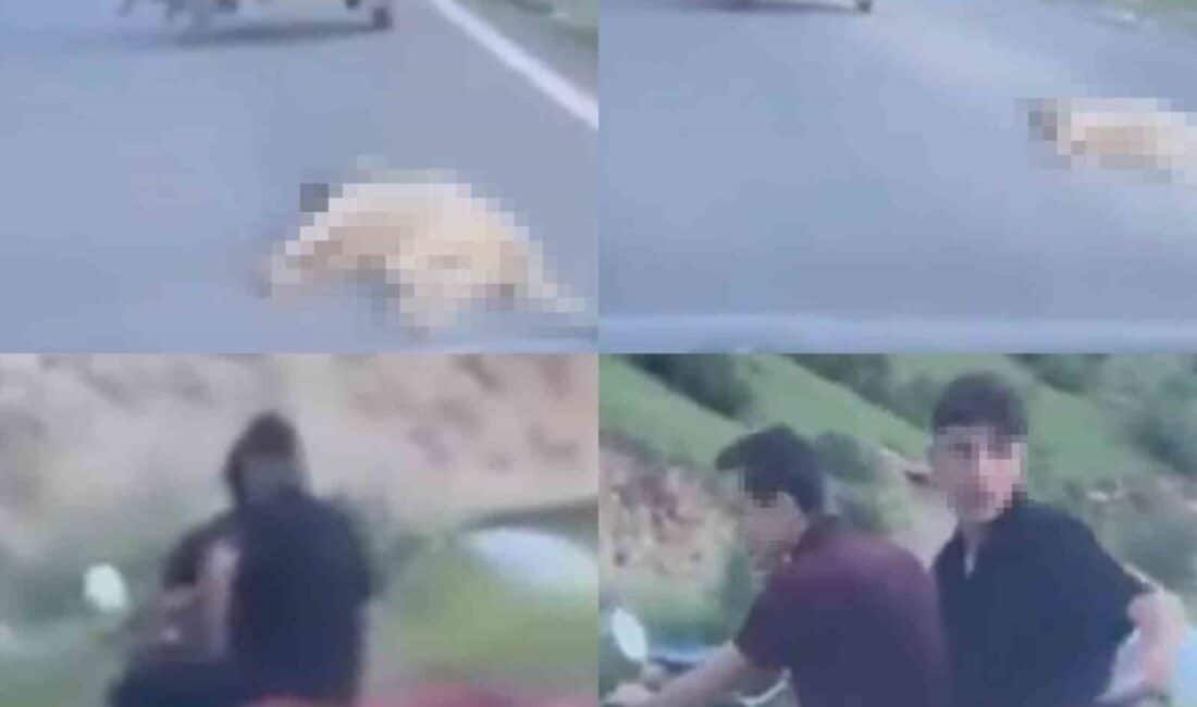 Kahramanmaraş'ta M.G. isimli kişi, ehliyetsiz motosikletle bağladığı telef olmuş köpeği