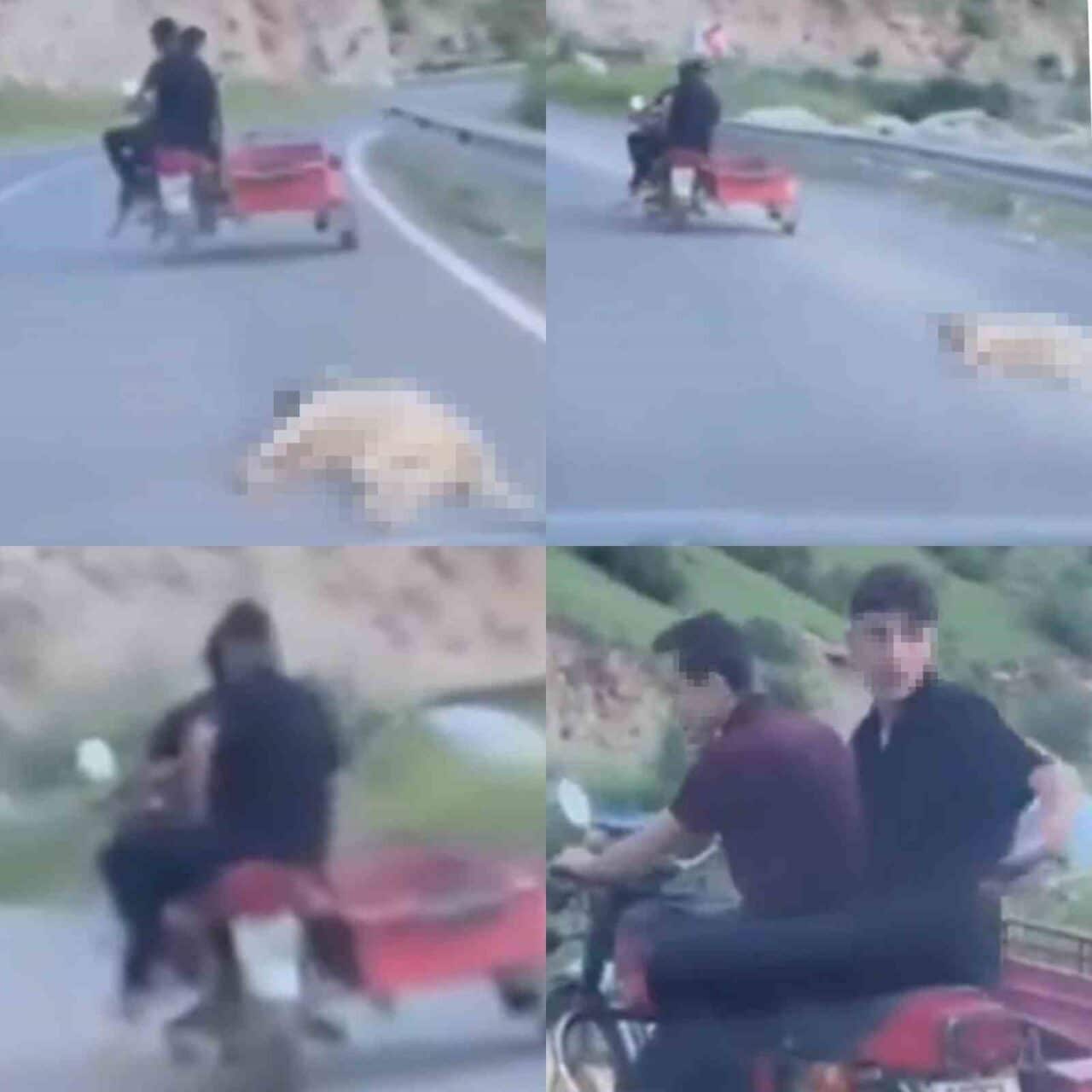 Kahramanmaraş'ta M.G. isimli kişi, ehliyetsiz motosikletle bağladığı telef olmuş köpeği
