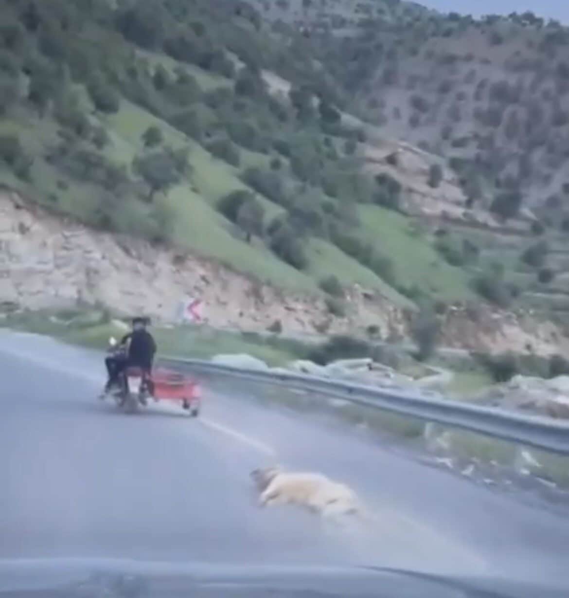 Kahramanmaraş'ta bir köpeğin motosikletle sürüklendiği anlar cep telefonu ile kaydedildi.