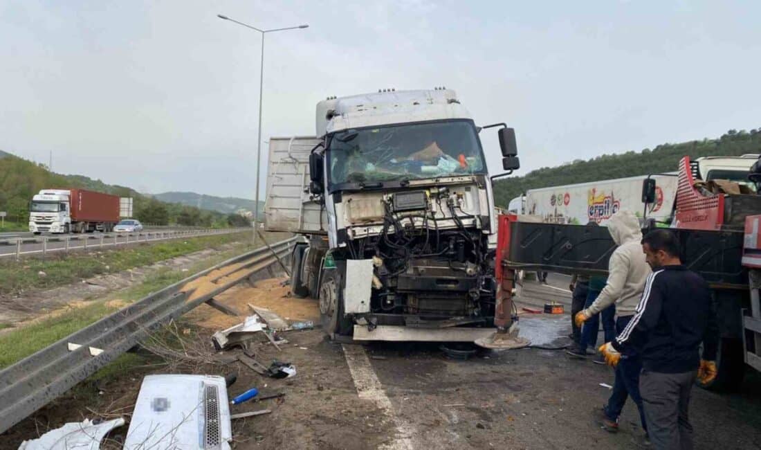 TEM Otoyolu’nda, sürücüsü Veysel İ.'nin uyuduğuna inanılan bir buğday yüklü