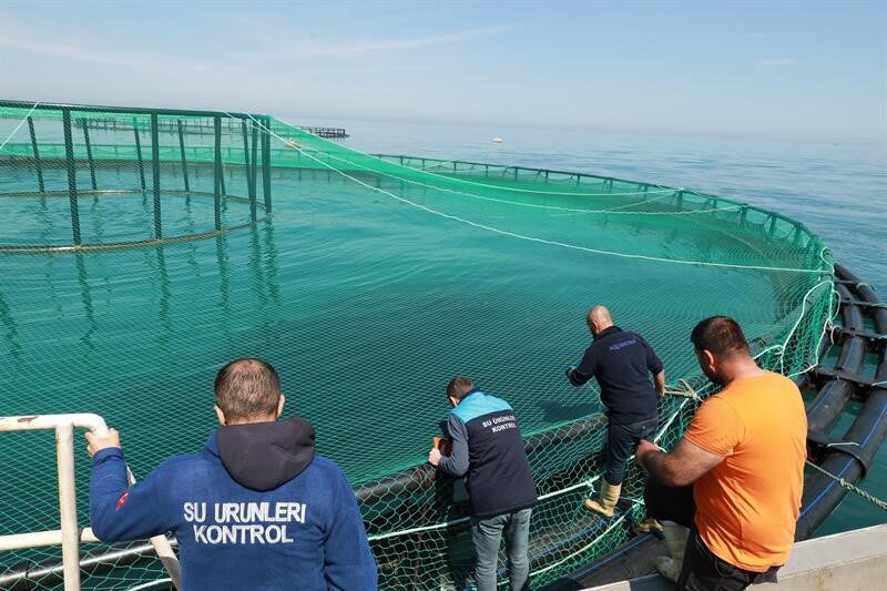 Trabzon’da Türk Somonu Yetiştiriciliği İçin Stok Denetimi Gerçekleştirildi Trabzon'da İsa Kaplan, Türk Somonu yetiştiriciliği yapılan 21 deniz ağ