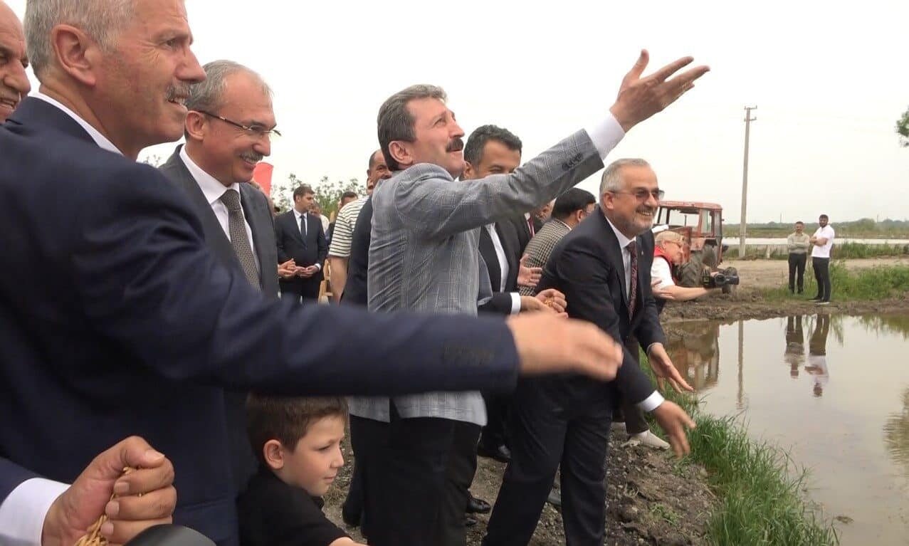 Bafra Ovası'nda 10. "Geleneksel Çeltik Ekim Günü" etkinliği yoğun katılımla