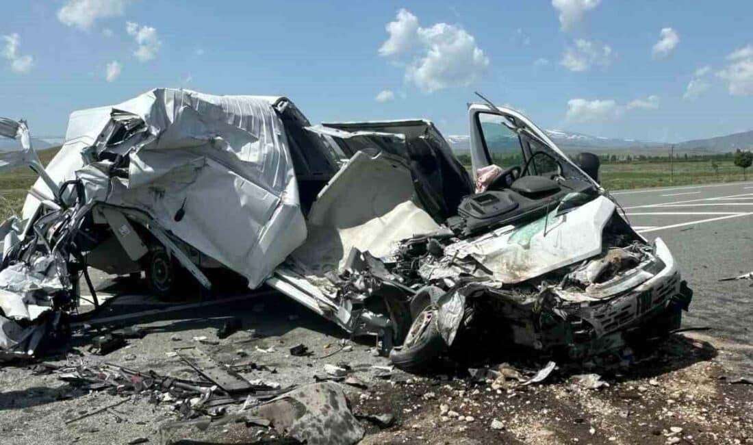 Iğdır'ın Tuzluca ilçesindeki Pirli ve Menderes köyleri yol ayrımında meydana