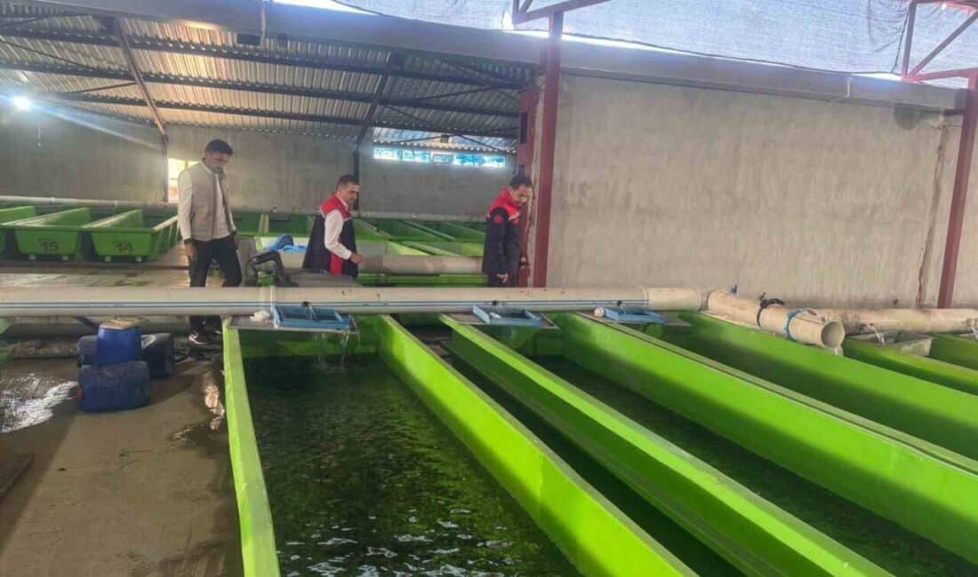 Erzincan’ın Uluköy beldesindeki su ürünleri tesisinde yıllık 15 milyon yavru