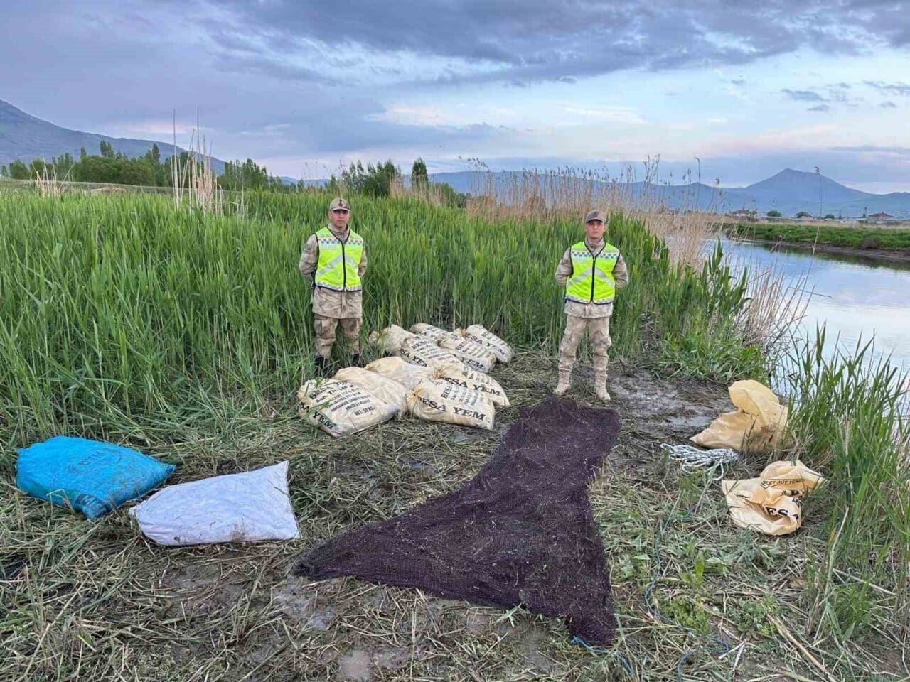 Van'da jandarma, inci kefali koruma denetimleri sırasında bir haftada 3