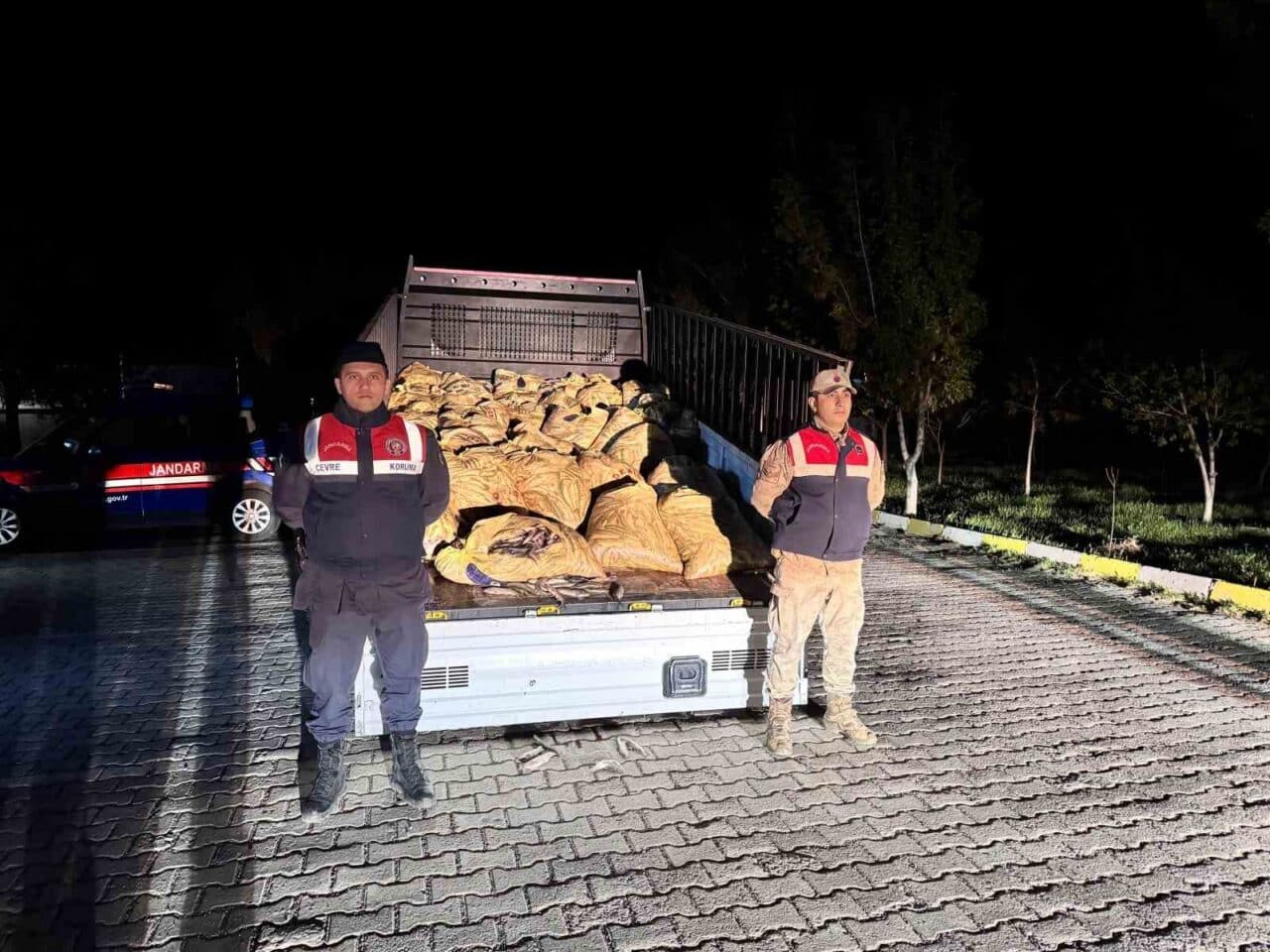 Van'da jandarma, kaçak avcılıkla mücadele kapsamında 3 ton 820 kilogram
