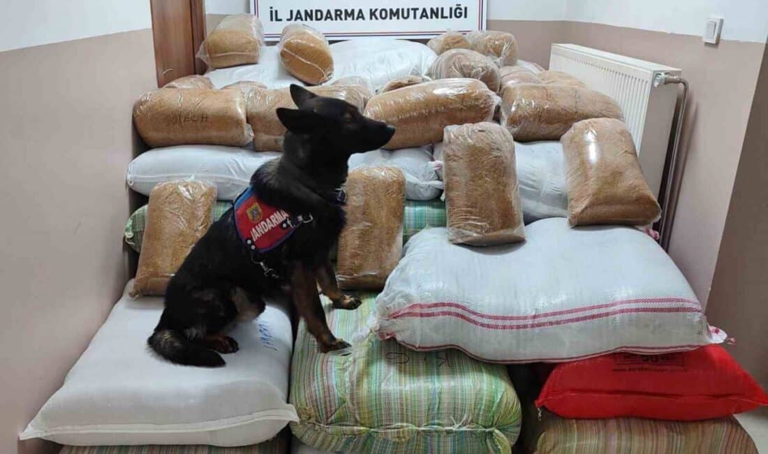 Kayseri’de Yolcu Otobüslerinde 1.5 Ton Kaçak Tütün Yakalandı Kayseri İl Jandarma Komutanlığı, Kayseri-Malatya karayolunda gerçekleştirdiği yol kontrollerinde iki