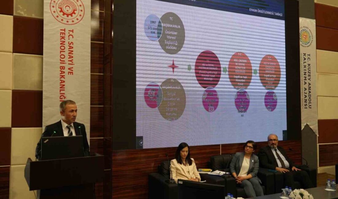 Kuzey Anadolu Kalkınma Ajansı'nın düzenlediği panelde, Kastamonu, Çankırı ve Sinop'taki