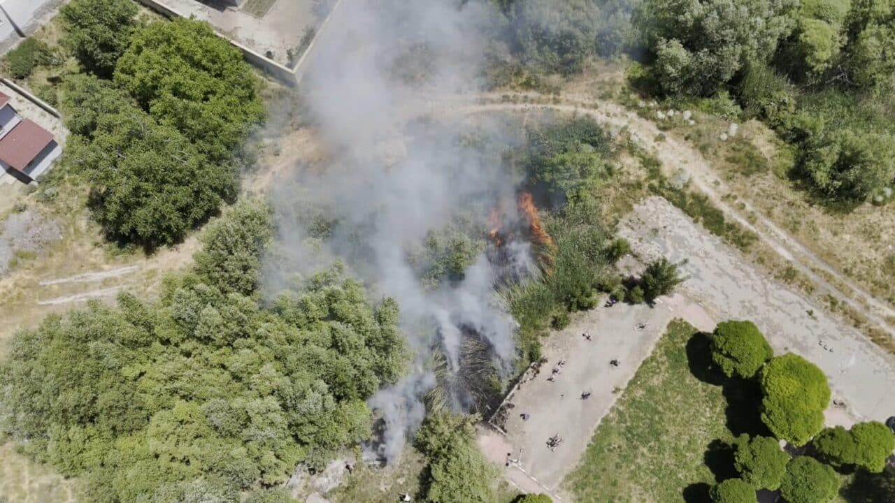 Bitlis’in Adilcevaz ilçesinde Van Gölü sahilindeki bir kafe yakınındaki sazlık