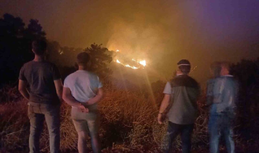 Manisa'nın Ahmetli ilçesindeki çöplükte başlayan yangın, rüzgarın etkisiyle Salihli'ye sıçradı