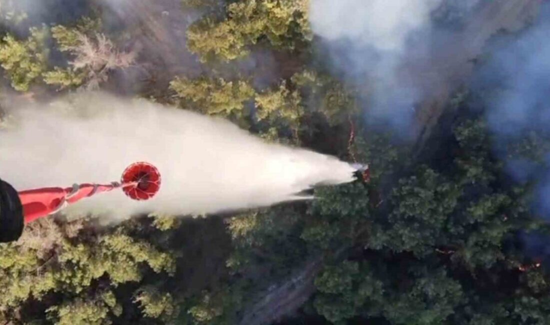 Manisa'nın Akhisar ilçesinde 28 Haziran'da başlayan yangın, şiddetli rüzgarla yayıldı.