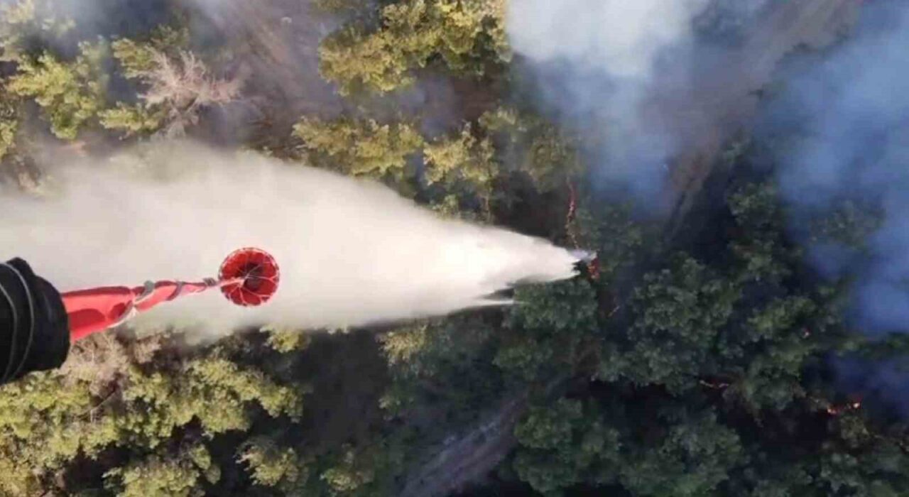 Manisa'nın Akhisar ilçesinde 28 Haziran'da başlayan yangın, şiddetli rüzgarla yayıldı.