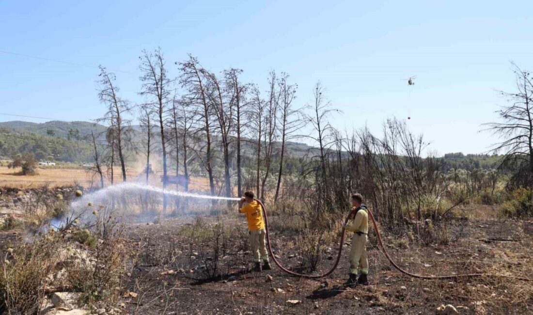 Muğla'nın Milas ilçesinde zirai alanda çıkan yangın, ekiplerin hızlı müdahalesiyle
