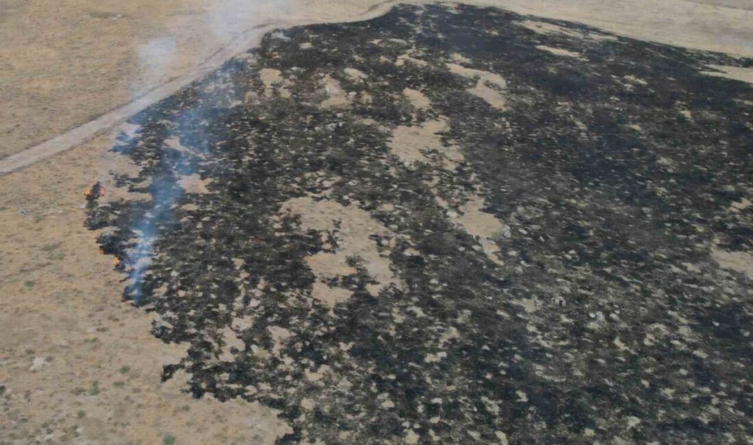 Çorum'un Alaca ilçesindeki Geven köyünde çıkan yangında 250 dönümlük otluk