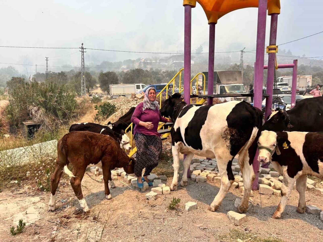 Hatay'ın Antakya ilçesindeki Karaali Mahallesi'nde çıkan orman yangını, Müzeyyen Doğru'nun