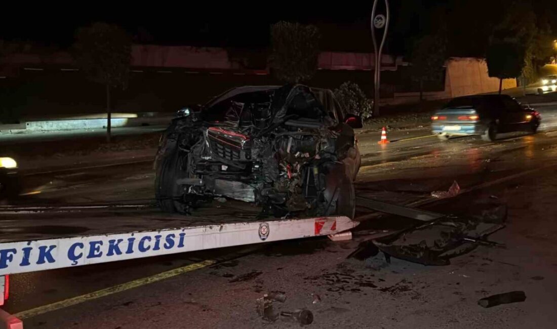 Sakarya'nın Adapazarı ilçesinde 61 yaşındaki A.K., alkollü bir şekilde kullandığı