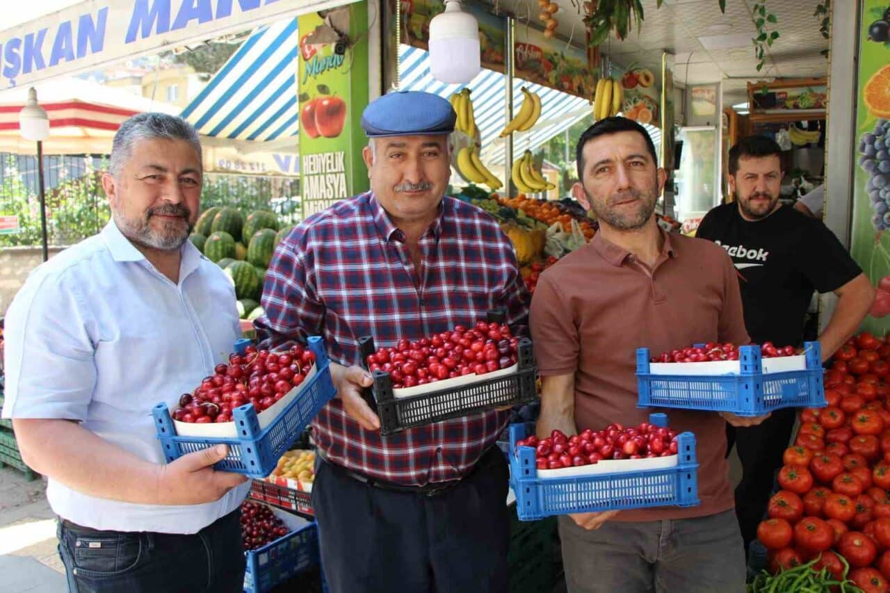 Amasya’da 60 yıldır süregelen kiraz teşvik yarışması, bu yıl zirai
