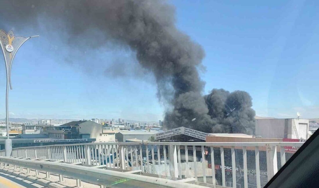 Ankara'nın Sincan ilçesinde bir atık kağıt geri dönüşüm tesisinde çıkan