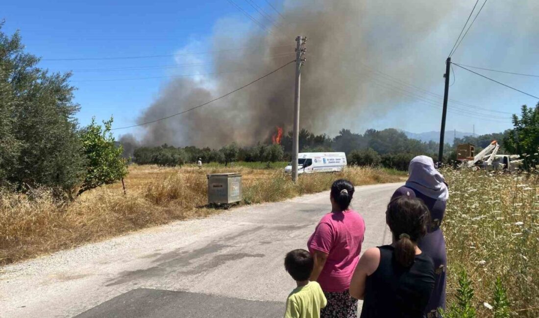 Antalya'nın Aksu ilçesindeki Hacıaliler Mahallesi'nde orman yangını başladı. İtfaiye ekipleri