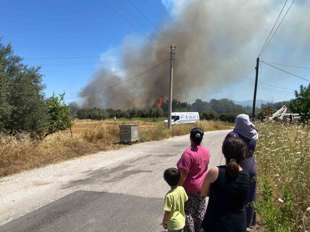 Antalya'nın Aksu ilçesindeki Hacıaliler Mahallesi'nde orman yangını başladı. İtfaiye ekipleri
