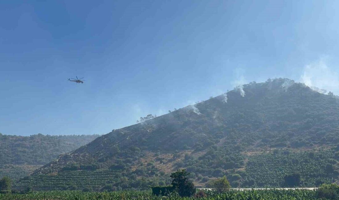 Antalya'nın Gazipaşa ilçesinde sabah saatlerinde çıkan orman yangını kontrol altına