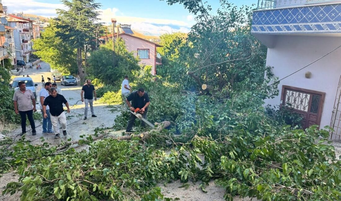 Malatya'nın Arapgir ilçesinde meydana gelen fırtına, Yeni Mahalle Mimar Sinan