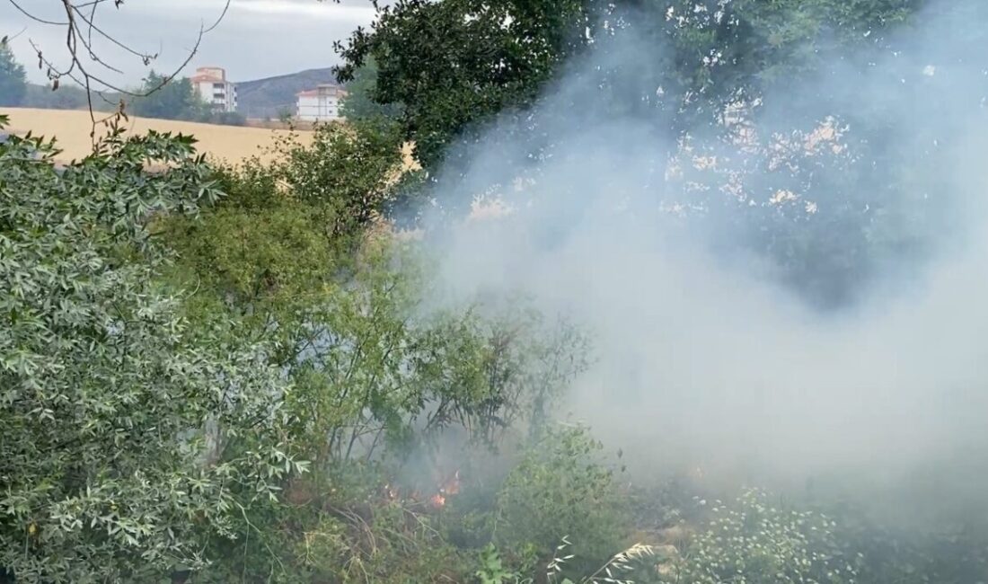 Tokat'ın Zile ilçesindeki cezaevi lojmanları arkasındaki tarlada çıkan yangın, yerleşim
