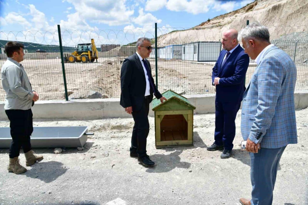 Ardahan'da sahipsiz hayvanlar için Valilik tarafından yapılan doğal yaşam alanı