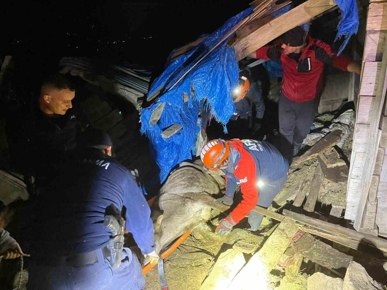 Artvin'in Borçka ilçesinde Ahmet Çelik'e ait iki katlı ahır çöktü.