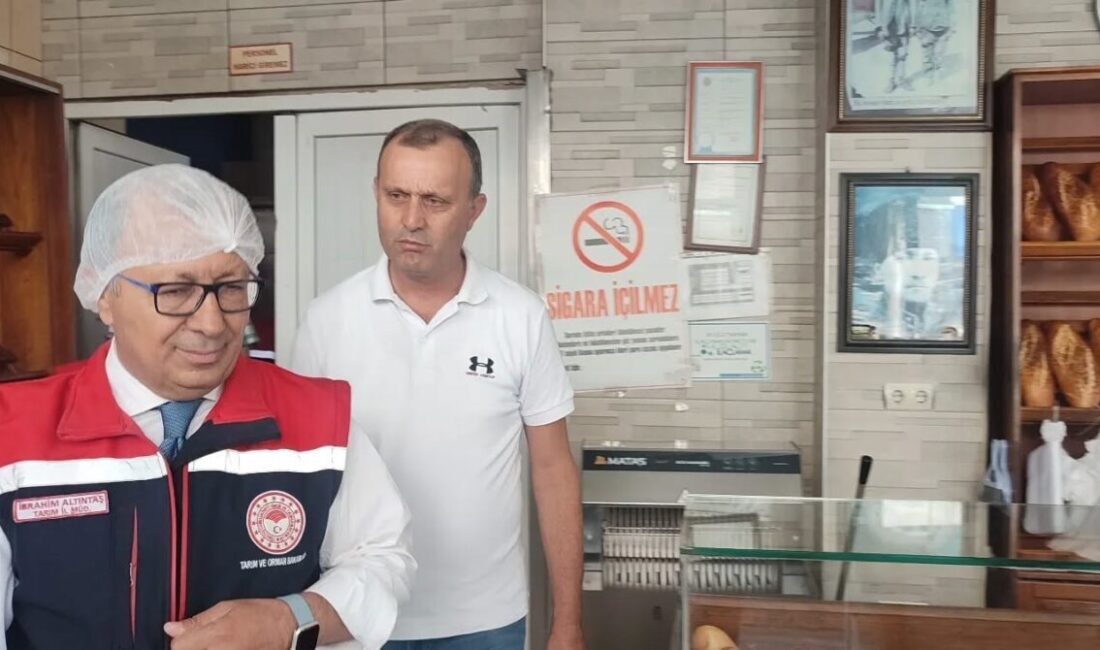 Aydın Tarım ve Orman İl Müdürlüğü, 17 ilçedeki ekmek fırınlarına