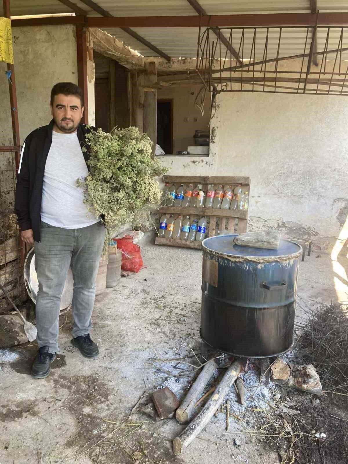 Aydın'da, haziran ayıyla birlikte kekik suyu çıkarma işlemleri başladı. Asırlık