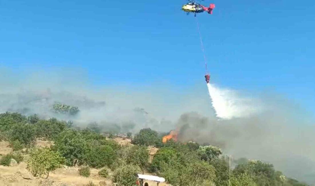 Aydın'ın Bozdoğan ilçesinde 28 Haziran Cumartesi günü yaşam alanlarını tehdit