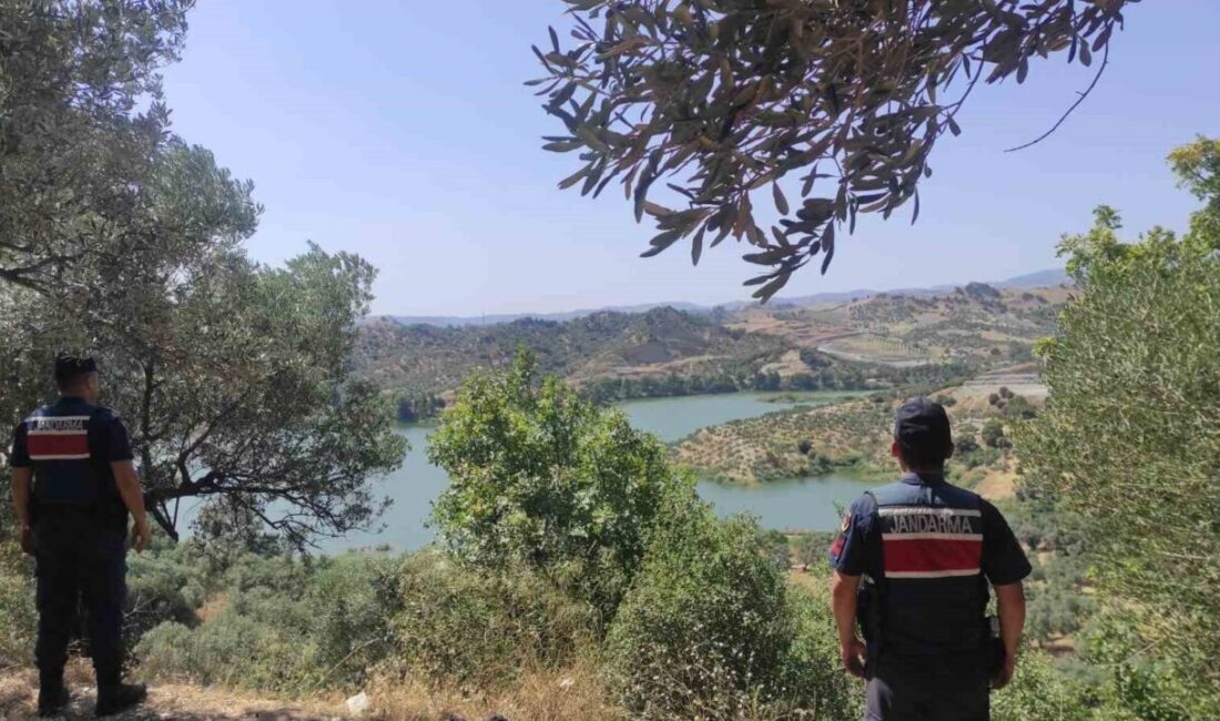 Aydın İl Jandarma Komutanlığı, orman yangınlarını önlemek için devriye faaliyetlerini