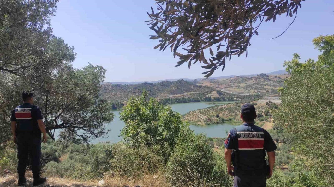 Aydın İl Jandarma Komutanlığı, orman yangınlarını önlemek için devriye faaliyetlerini