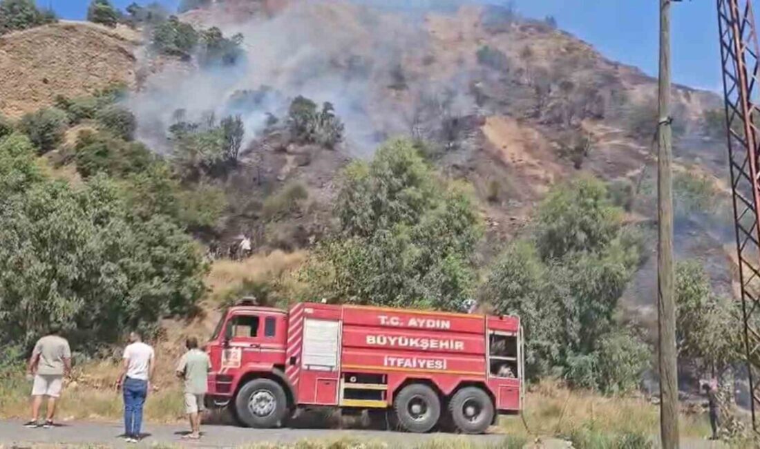 Aydın'da son 48 saatte 93 yangın meydana geldi. Aydın Büyükşehir