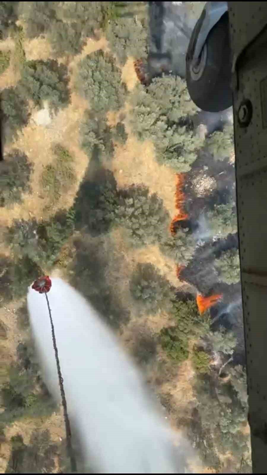 Balıkesir'in Ayvalık ilçesi Mutluköy Mahallesi'nde, Kilisetepe mevkisindeki zeytinlik alanda çıkan