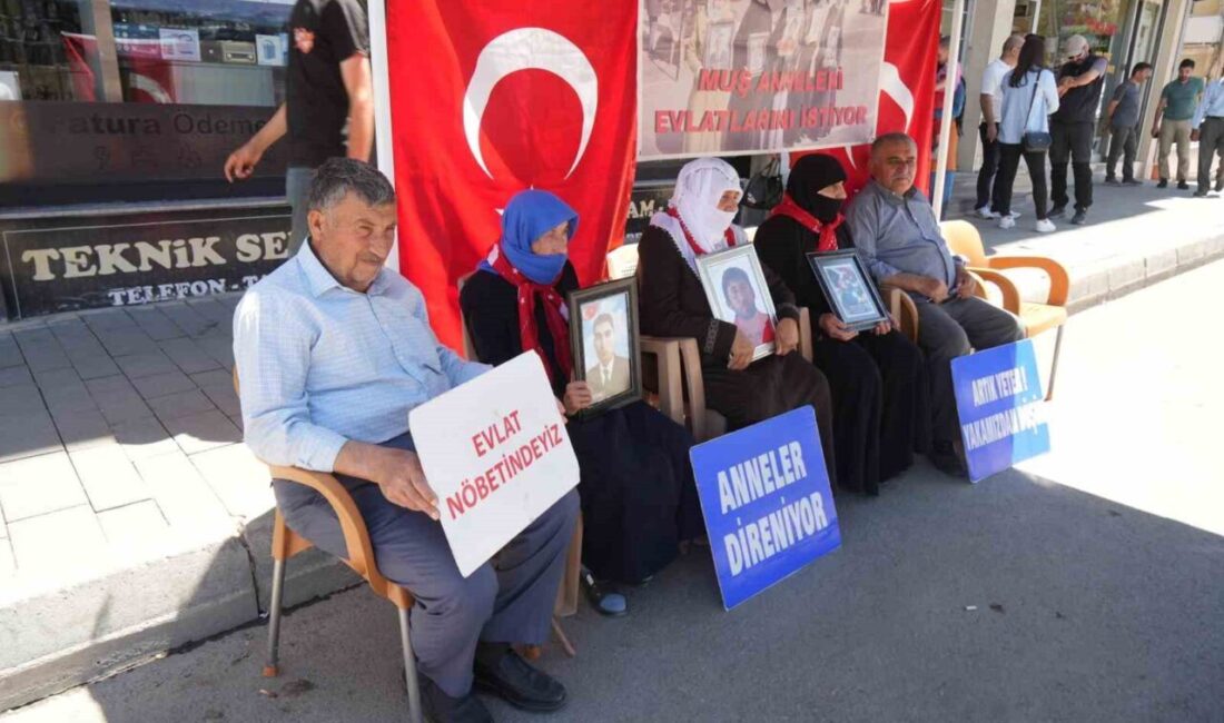 Muş'ta, PKK tarafından kaçırılan çocuklarına kavuşmak isteyen aileler, DEM Parti