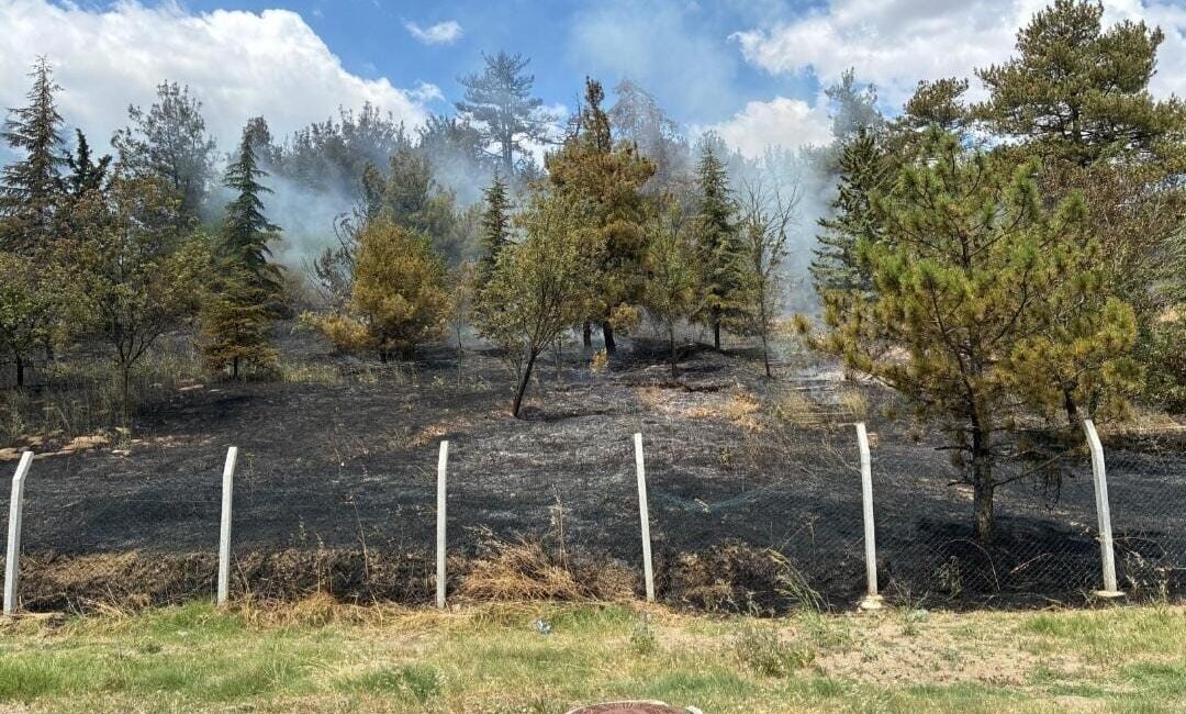 Kırklareli'nin Babaeski ilçesindeki Alpullu beldesinde ormanlık alanda çıkan yangın, vatandaşların