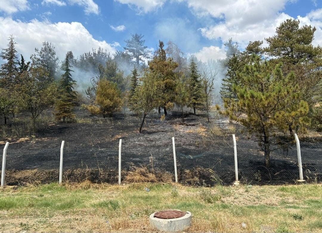Kırklareli'nin Babaeski ilçesindeki Alpullu beldesinde ormanlık alanda çıkan yangın, vatandaşların