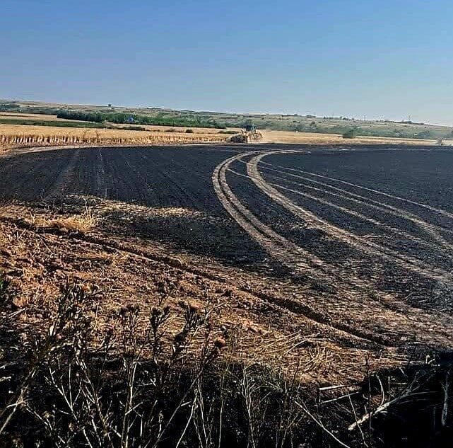Kırklareli'nin Babaeski ilçesinde yer alan Büyükmandıra beldesindeki buğday tarlasında çıkan