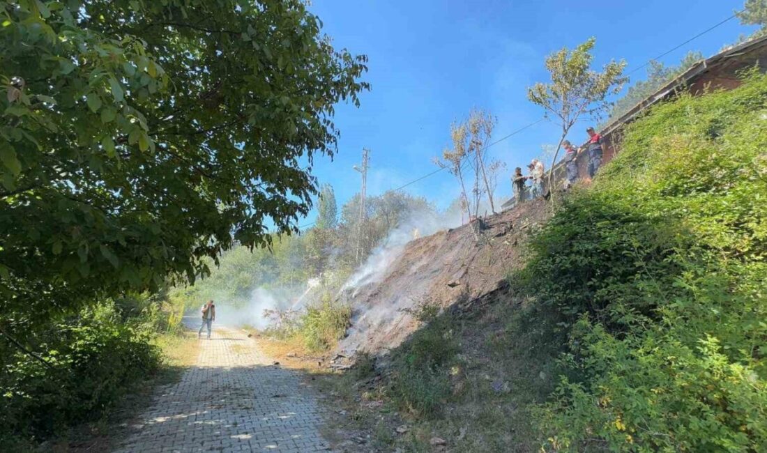 Kastamonu'nun Hanönü ilçesindeki Gözsökü köyünde bir evin bahçesinde çıkan yangın,
