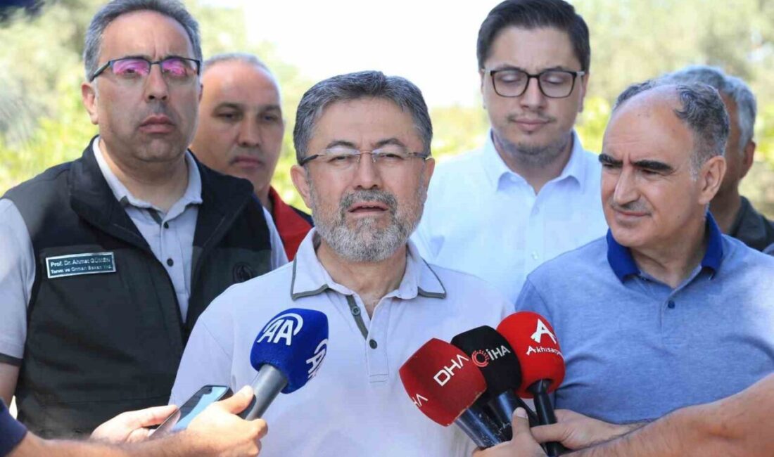 Tarım ve Orman Bakanı İbrahim Yumaklı, Manisa'nın Akhisar ilçesindeki orman