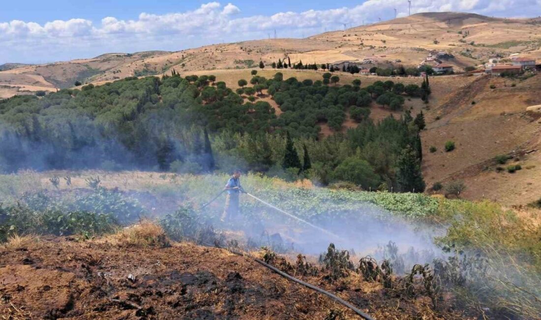 Balıkesir’in Altıeylül ilçesindeki Nergiz ve Kabakdere mahallerinde çıkan yangınlar, itfaiye