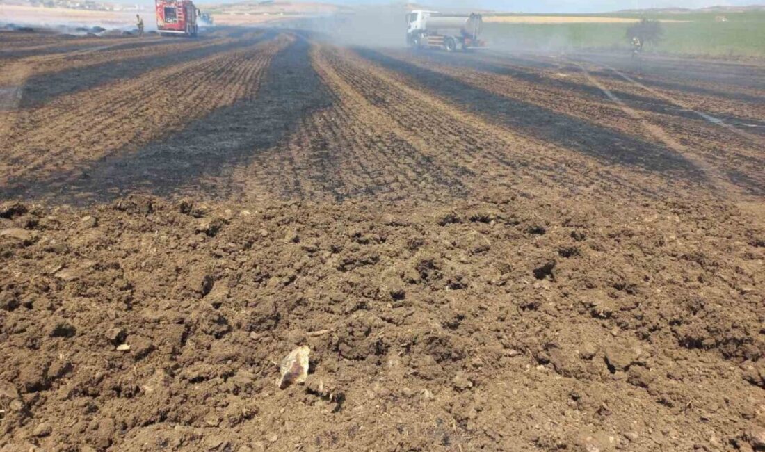 Balıkesir'in Bandırma ilçesindeki Kayacık Mahallesi kırsalında çıkan yangın, rüzgar nedeniyle