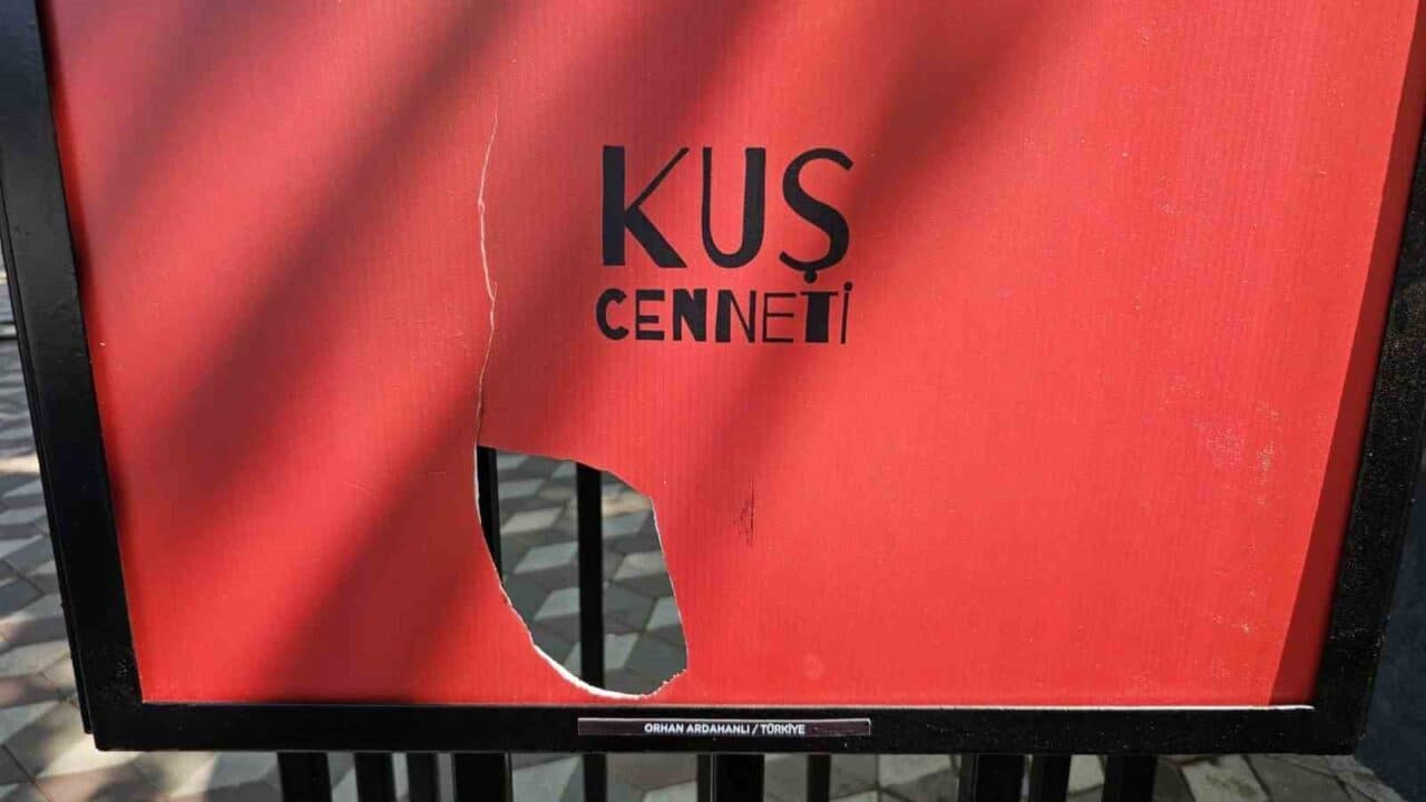 34. Uluslararası Bandırma Kuşcenneti Kültür ve Turizm Festivali'nde, sanatı kamusal