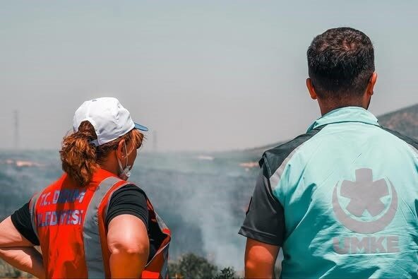 Didim’deki makilik alanda çıkan yangın, Aydın Büyükşehir Belediyesi ve Muğla