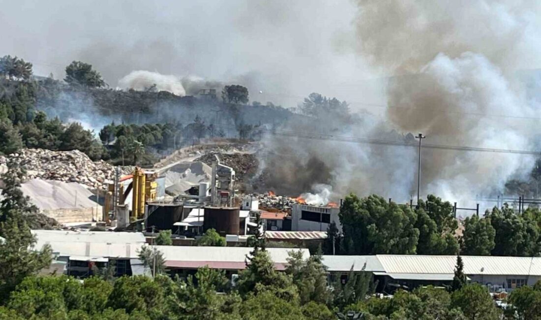 İzmir'in Buca Gediz semtindeki çöp depolama alanında çıkan yangın ormana